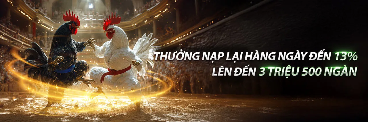 Sân đấu gà Thomo trực tuyến